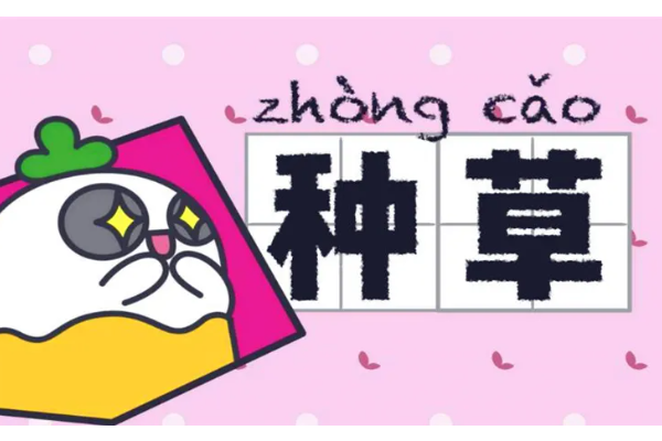 微信小程序怎么实现种草社区_商城小程序如何搭建微信种草板块.png