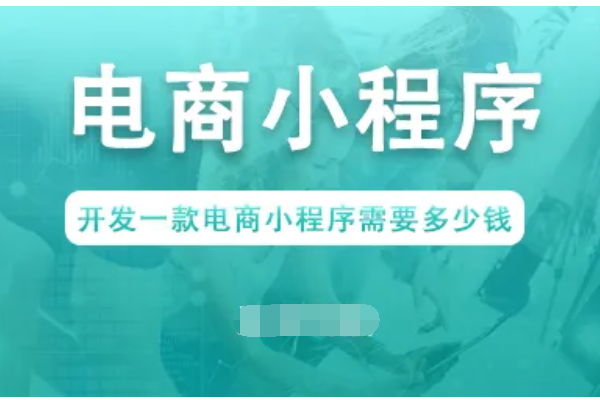 开发电商小程序要多少钱_如何快速做一个电商小程序(图1)